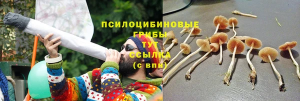 ALPHA-PVP Алексин