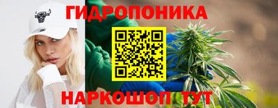 сатива Волжский