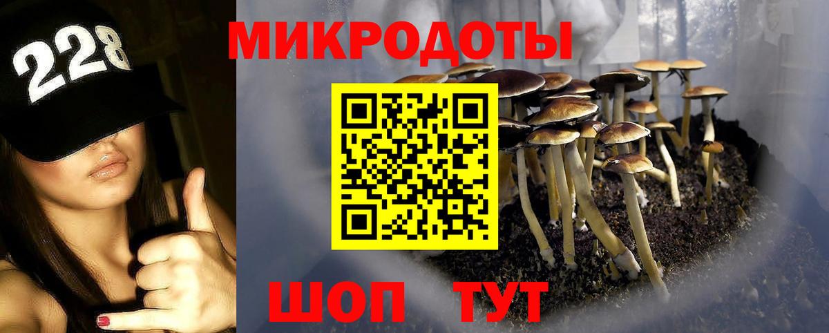 Кулебаки  Псилоцибиновые грибы мухоморы  Вход с VPN  закладки  Псилоцибиновые грибы MAGIC MUSHROOMS 